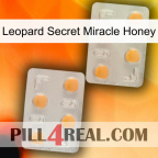 Leopard Secret Miracle Honey 25